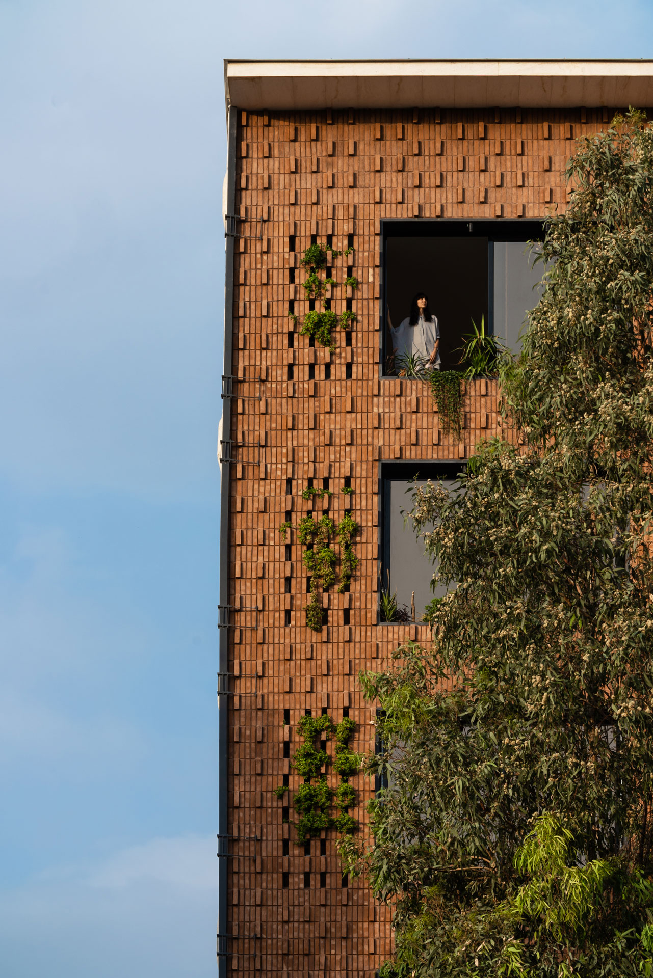 Brick II